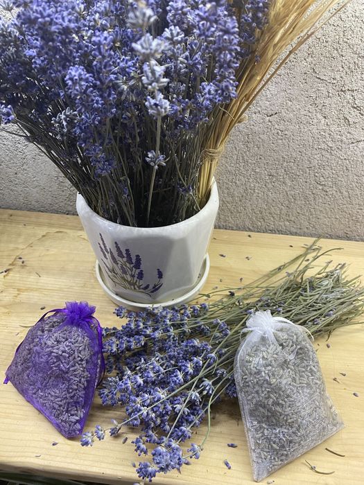 Лаванда САШЕ из собственного сада