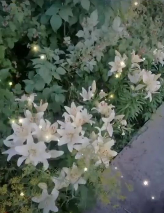 Продам дачу С/К Дорожник