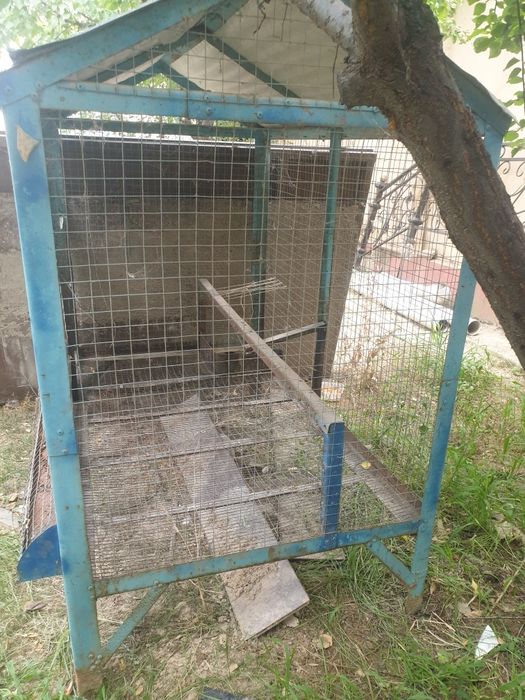 Tovuqlar uchun Katak