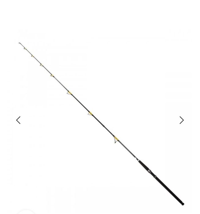 Въдица за сом  FL Catfish Passion Pro 2.70м