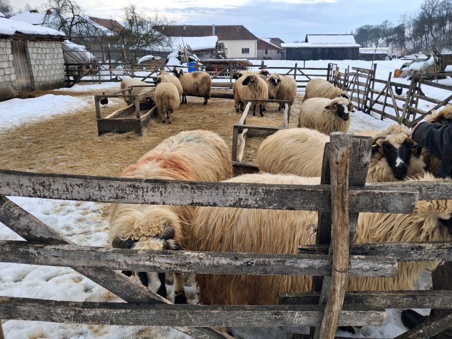 Vand breze in Fintoag