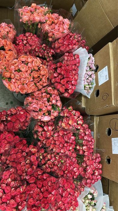 Роза оптом бағада