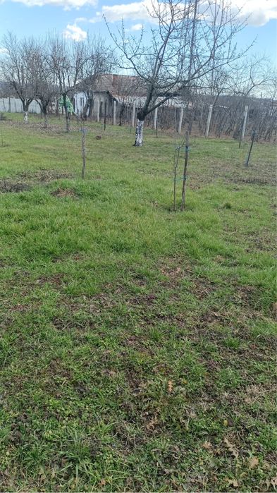 Vând Teren intravilan 607 m2