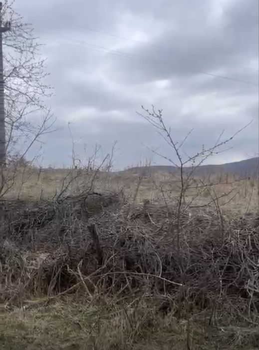 Teren 5000 mp, PIETRARU, BUZAU, cel mai ozonat loc din tara