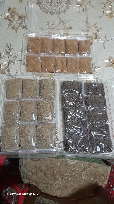 Аквариум боликлани кормаси.