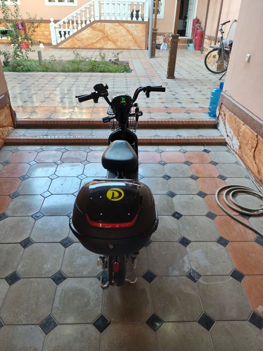 Skuter yabgi 20 kun bo'ldi