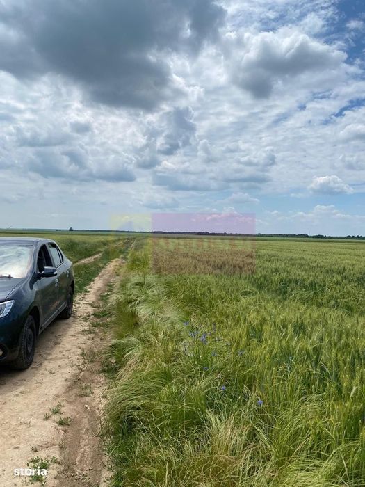 6,26 ha lângă DEx12 Pitești | 2,95 €/mp | acces DJ Pitești–Craiova