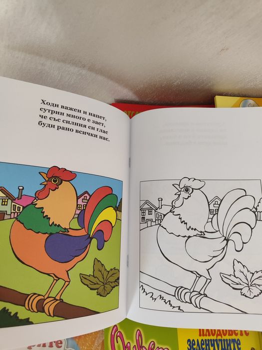 Книжки за оцветяване