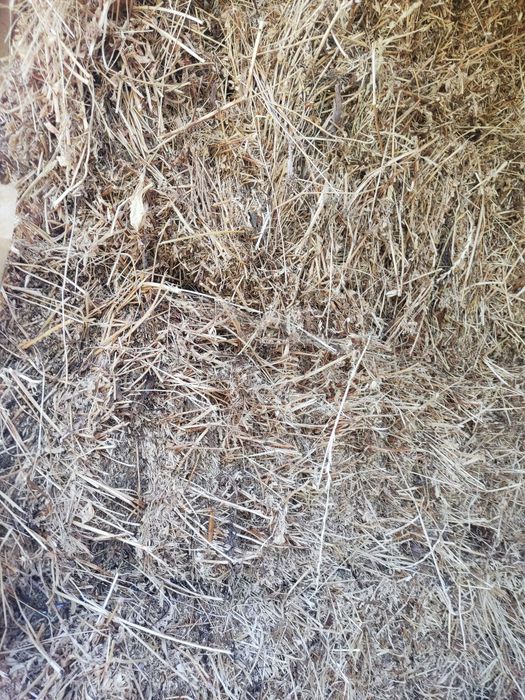 Baloți lucerna dreptunghiulari