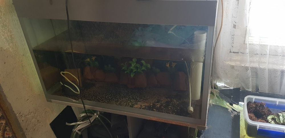 Продаётся аквариум