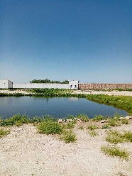 Molxona, sut va go`sht ishlab chiqarish majmuasi