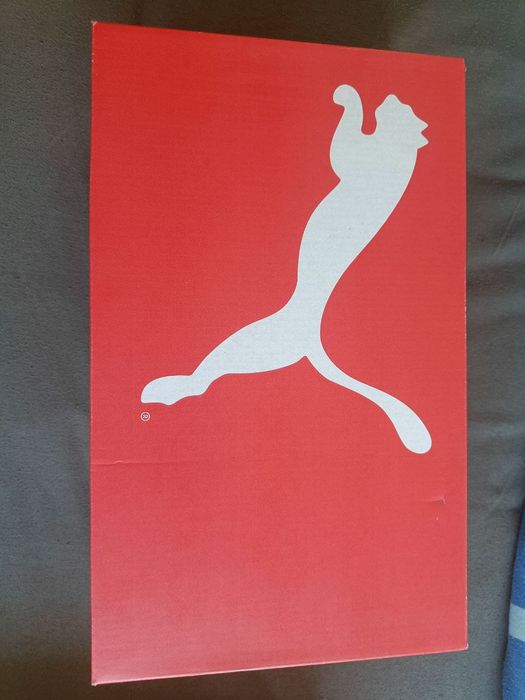 Puma rebound layup