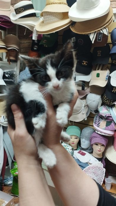 Катенька в хорошие руки