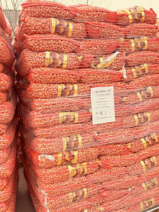 Vand ARPAGIC Olanda - calitate superioara