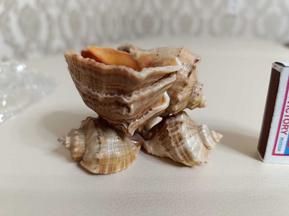 Пепельницы советских времён