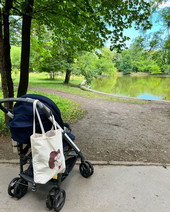 Carucior bebe Zippy System PRO