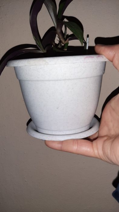 Обмен горшки для рассады.