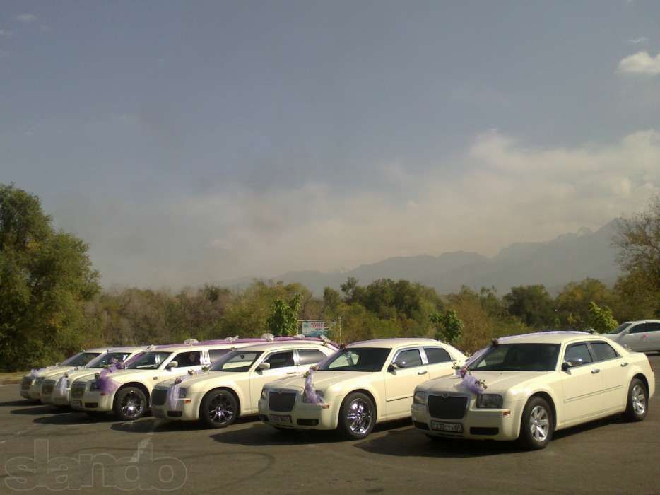 прокат лимузина в алматы