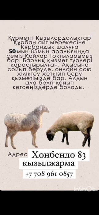 Кой токты тусак сатылады 50мыннан 80мын аралыгында