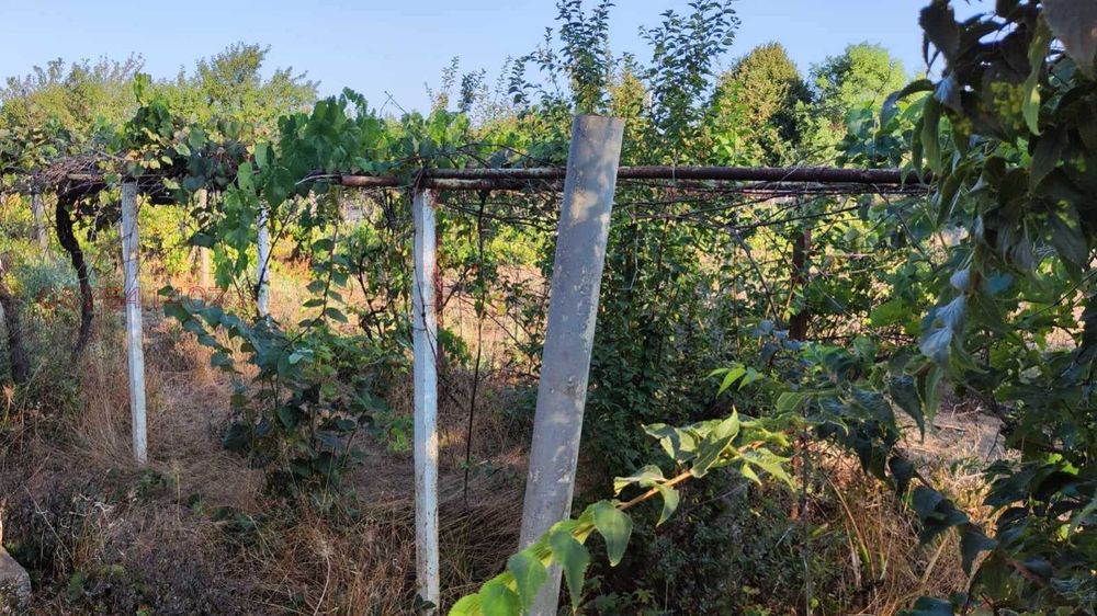 Продава се Парцел в с. Полковник Минково, Област Добрич - 2400 кв.м за 7 €/кв.м - Снимка #7