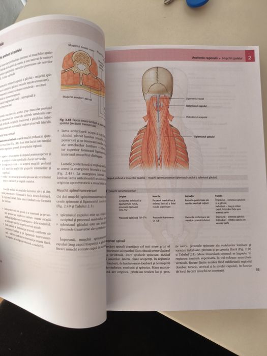 Anatomia lui Gray pentru studenți  vol 1