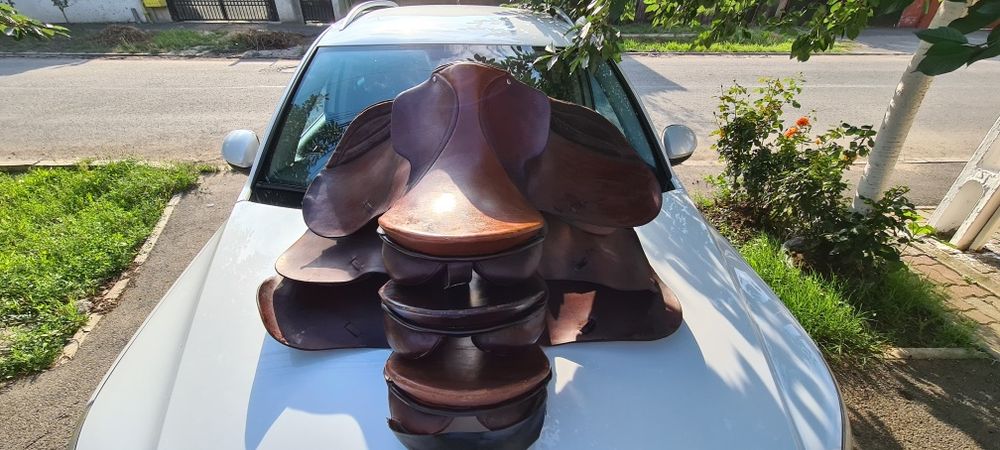 2 sei de calarie, agrement