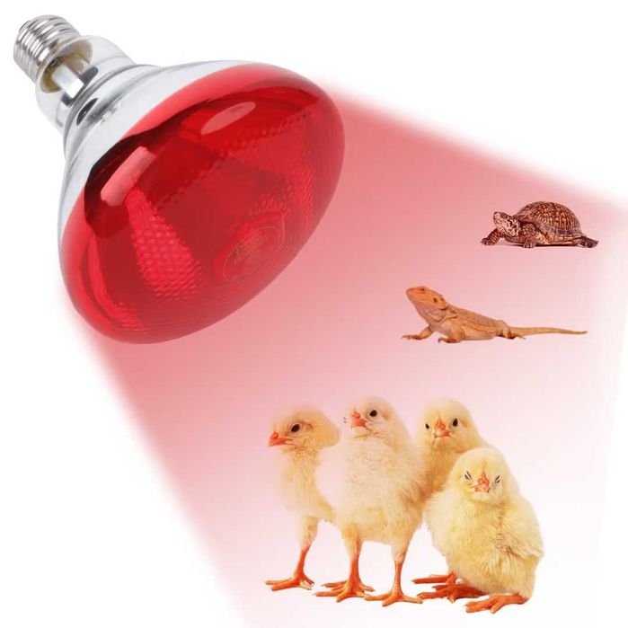 Lampă pentru terariu 6 inci