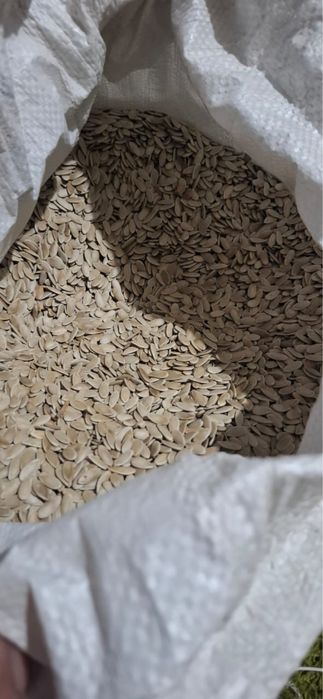 Бакинские семена дыни