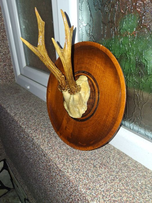 Рога за декорация