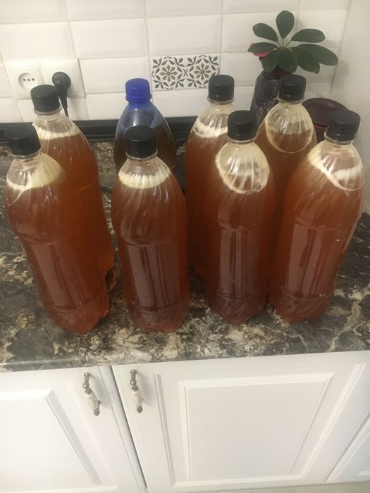 Мед Катонкарагайский