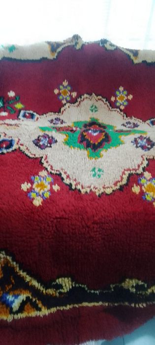 Голям вълнен китеник