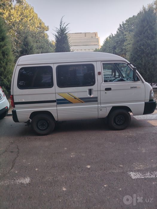 Damas ozimmiki gen ham bor