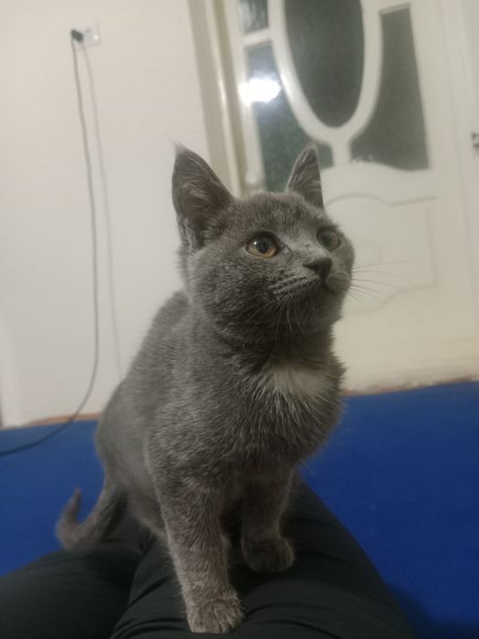 Saunada dostlar bilan jinsiy aloqa haqida hikoyalar