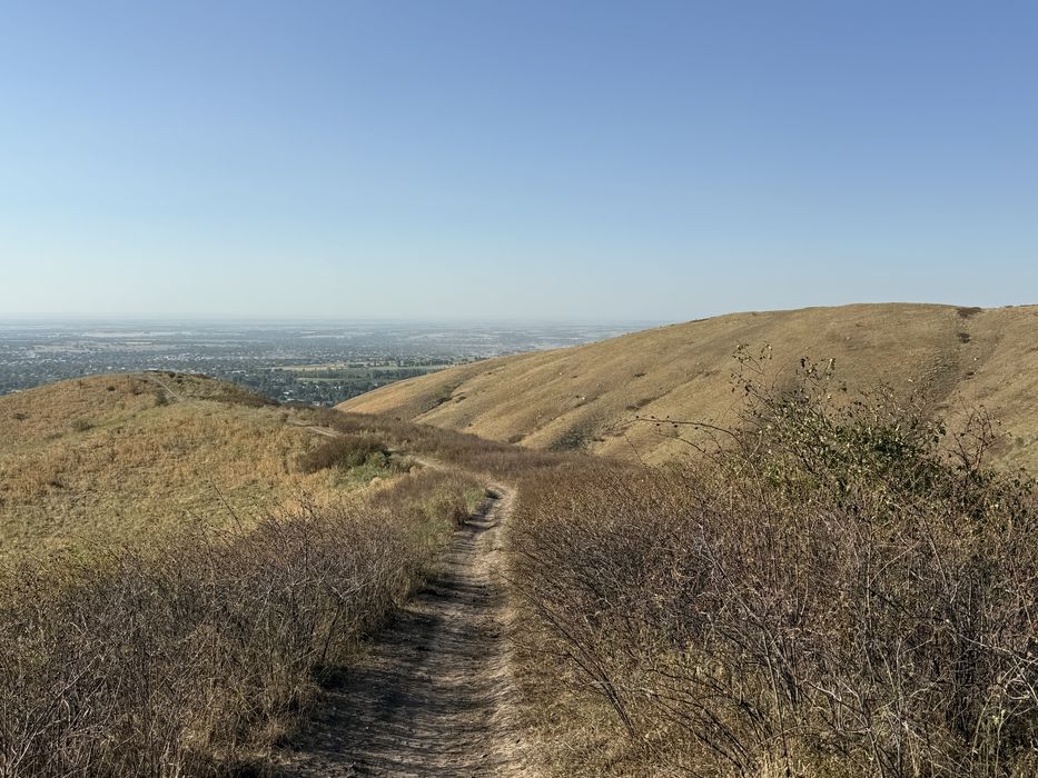 Продам фазенду 173га