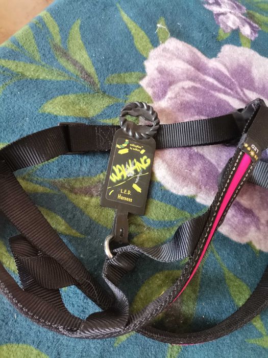 Нагръдник и каишка нови