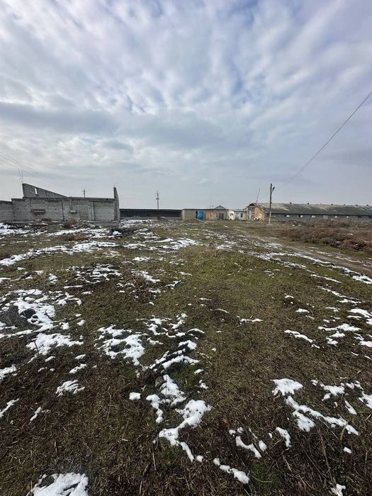 Sirdaryo shahar, Pravdada 1.50 gektarli ferma sotiladi