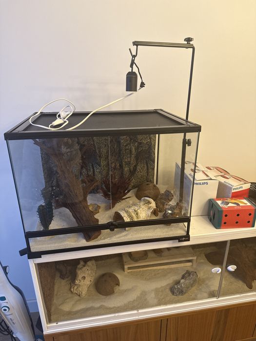 Acvariu, terariu, vivariu