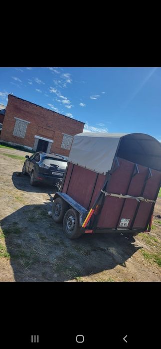 Продам коневозку