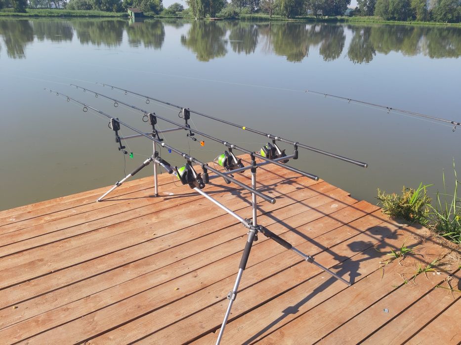 Vand rodpod trei posturi