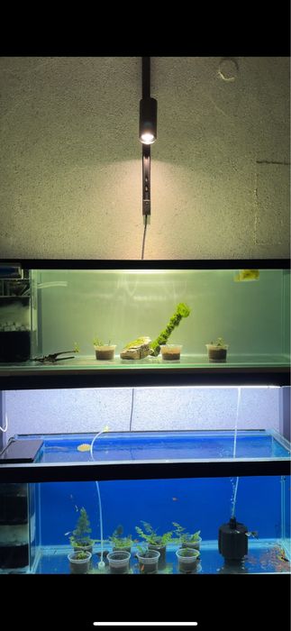 Akvarium yasash xizmati