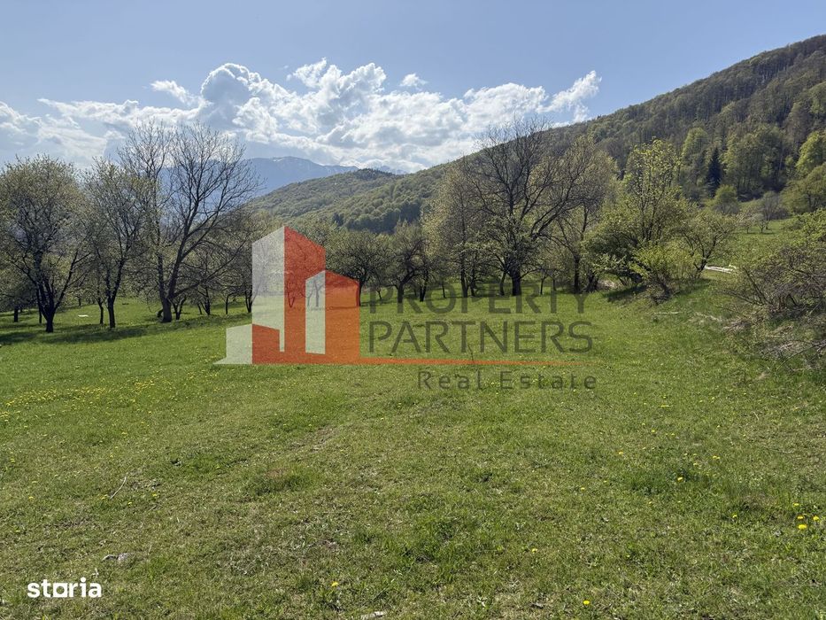 Terenuri Bran - Predelut  Priveliște către Bucegi și Postăvaru