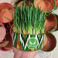 Буғдой (bug'doy) майса