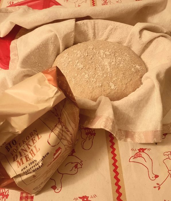 Maia activă cu făină BIO 100% INTEGRALĂ!