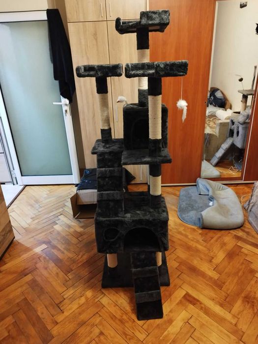 Котешка катерушка