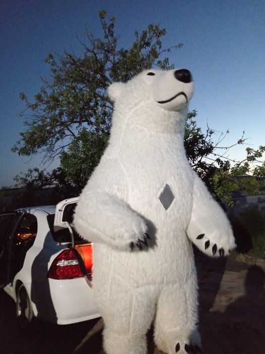 Ayiqlar xizmati barcha viloyat boylab