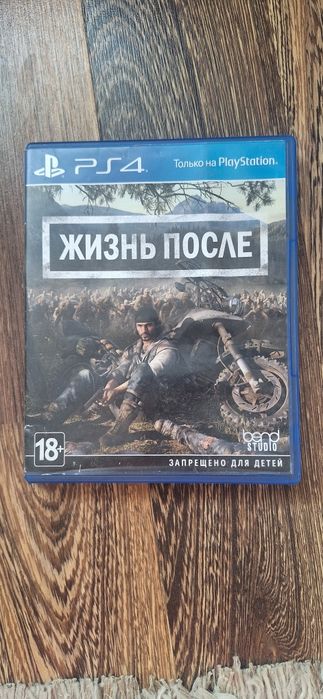 Жизнь после, игра выживание