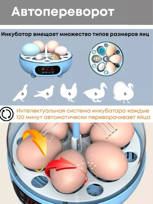 Inkubator 6ta tuxumli