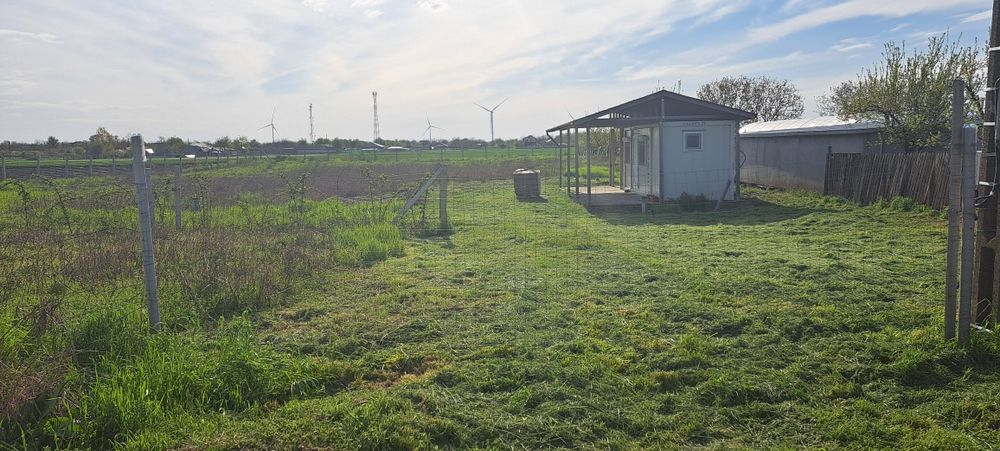 Vând teren 2.500 mp + container locuibil, Silistraru, Braila