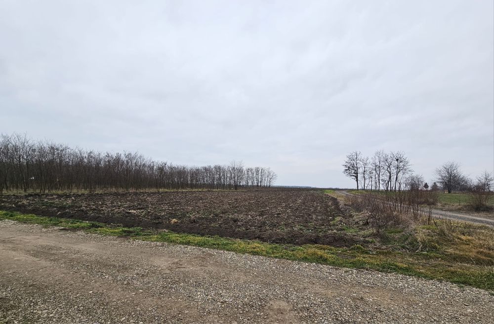 Teren intravilan Movilita, Ialomita