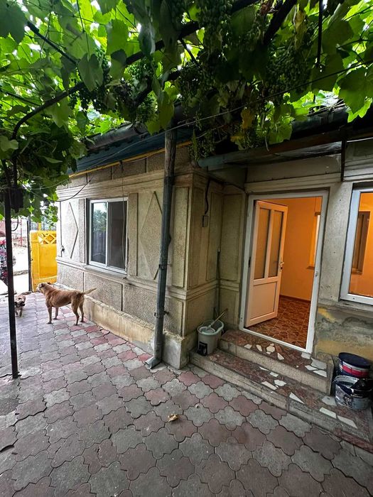 Casa de inchiriat in Ovidiu